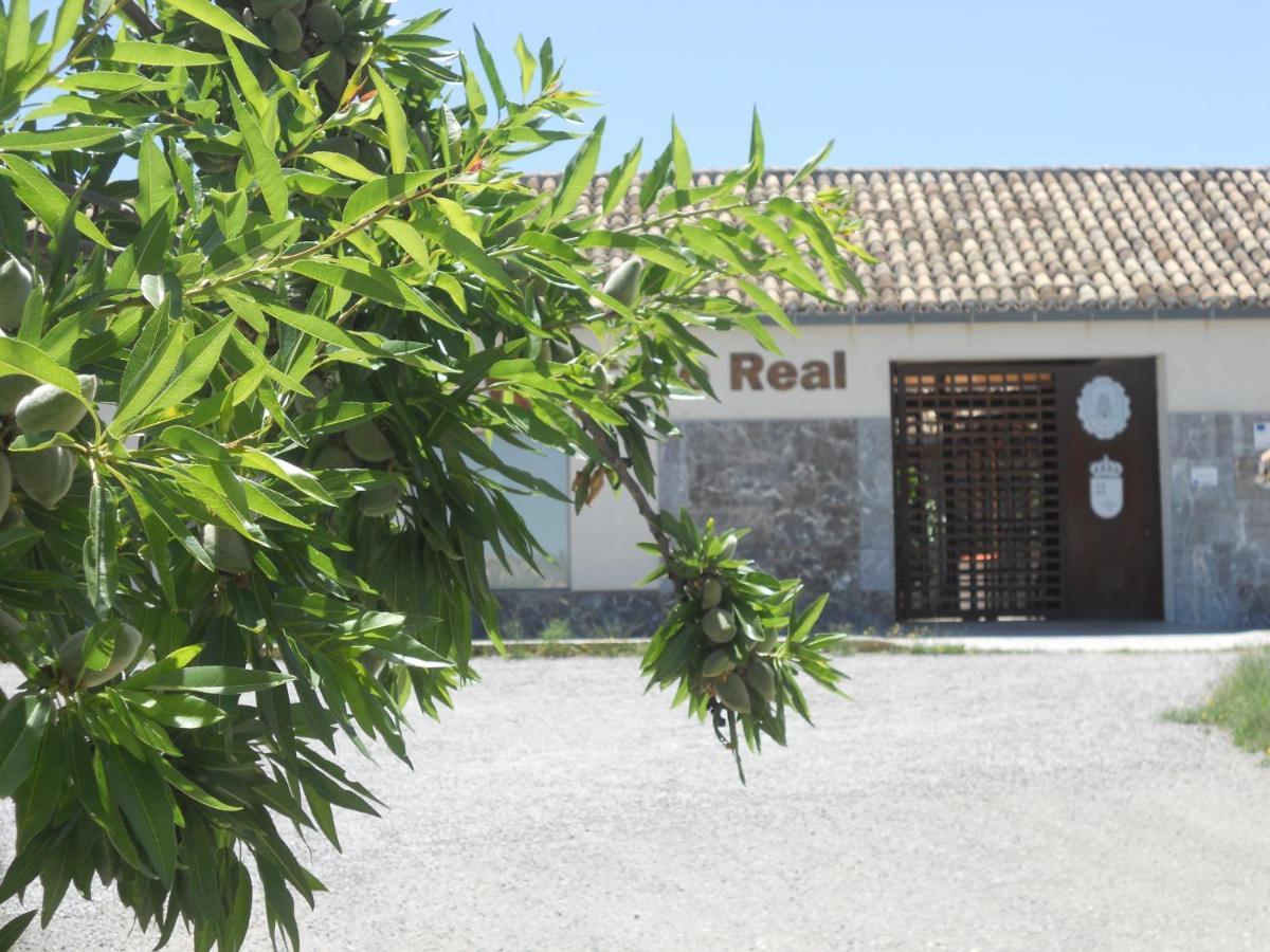 Albergue Coto Real De La Marina Cehegin Bagian luar foto